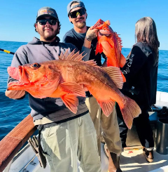 Fish Report Image