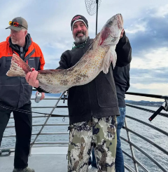 Fish Report Image