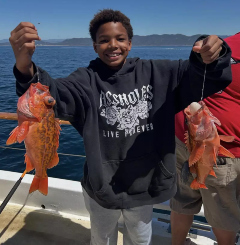 Fish Report Image