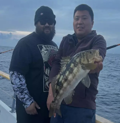 Fish Report Image