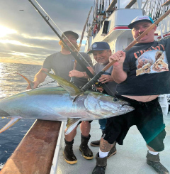 Fish Report Image
