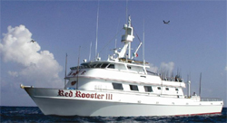 Red Rooster III