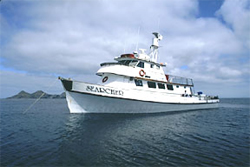 Searcher