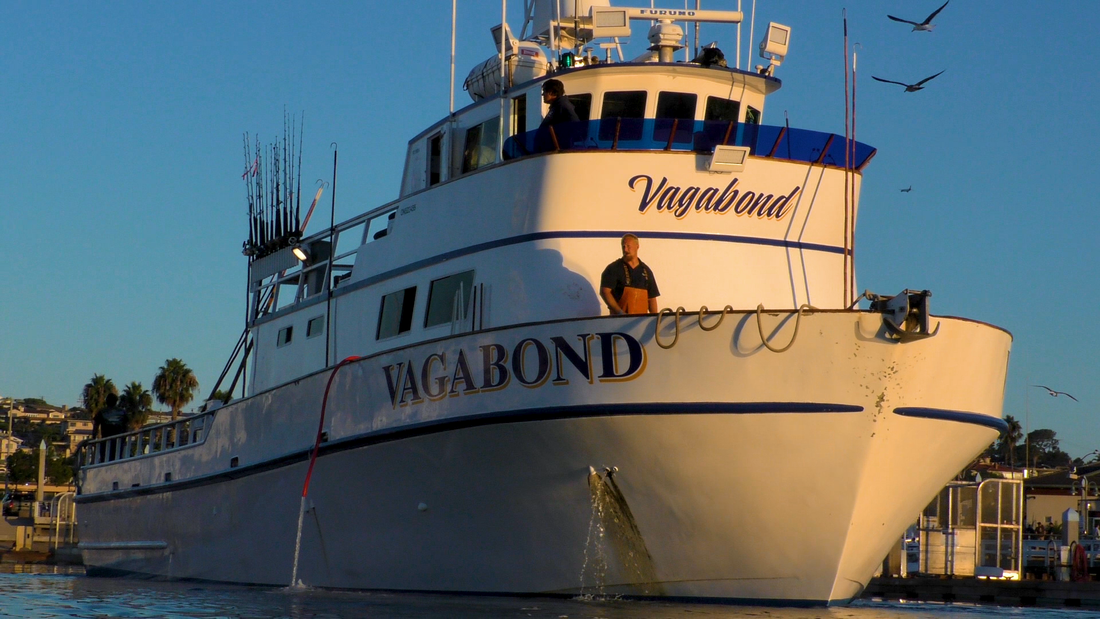 Calstar Rods Alijos Rocks / Ridge / Tuna / Yellowtail Limited 21 passengers 8 Day