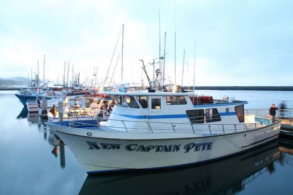 New Captain Pete 1/2 Day Halibut/Striped Bass
