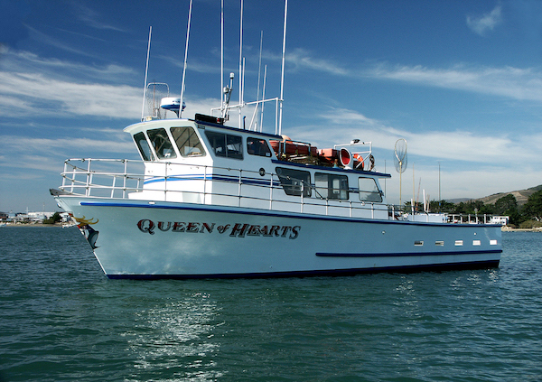 Queen of Hearts Rockfish