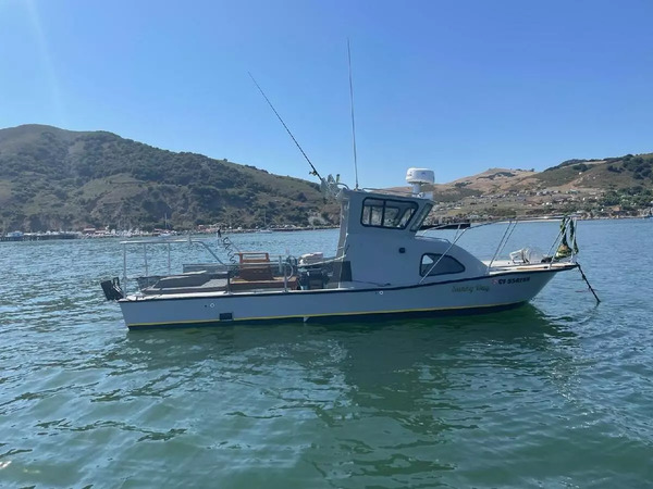 Sunny Day 1/2 Day Salmon Fishing AM