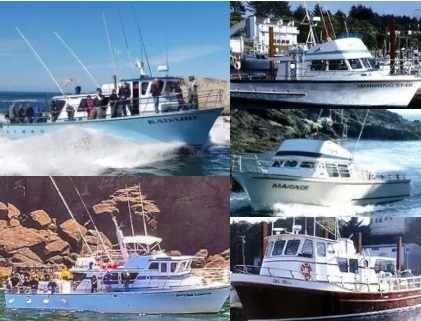 Tradewinds Charters 5 Hour Bottom Fishing
