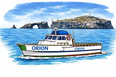 Orion 3/4 Day