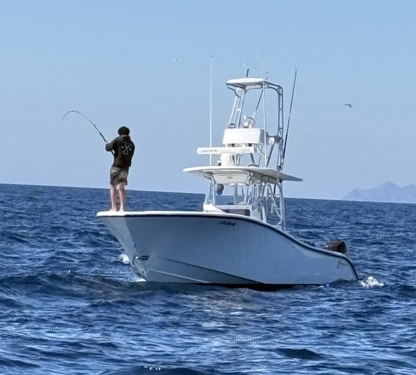 Got Bait Full Day Coronado Islands