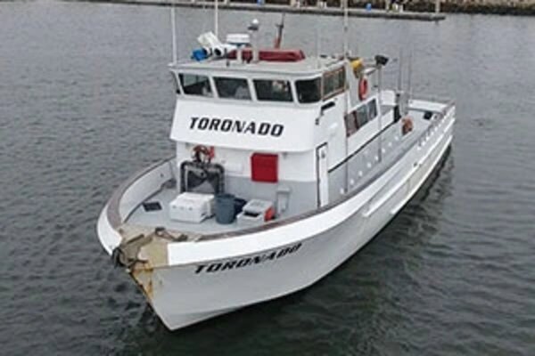 Toronado Overnight