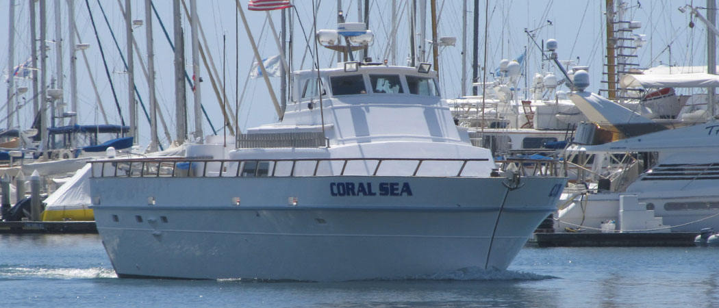 Coral Sea 3/4 Day