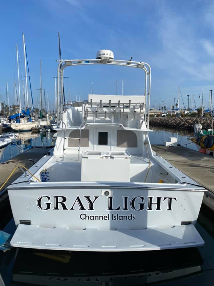 Graylight Full Day
