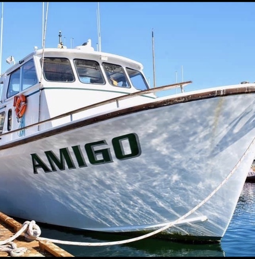 Amigo Overnight