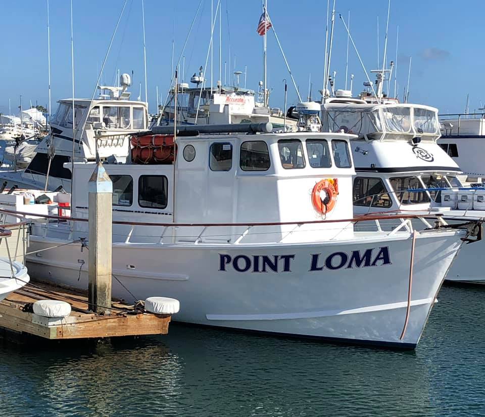 Point Loma Full Day Coronado Islands