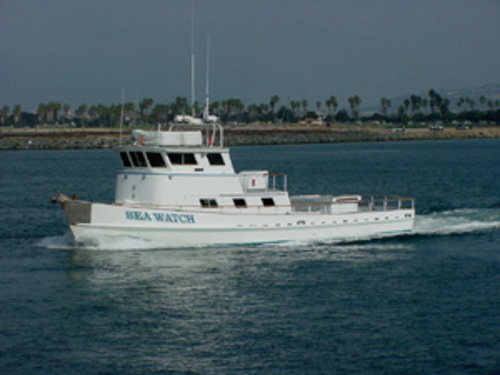 Sea Watch PM Half Day