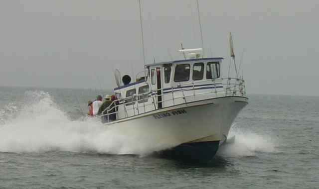 Flying Fish AM Half Day