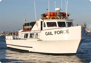 Gail Force Full Day