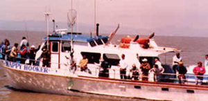 Happy Hooker Live Bait Halibut/Striped Bass