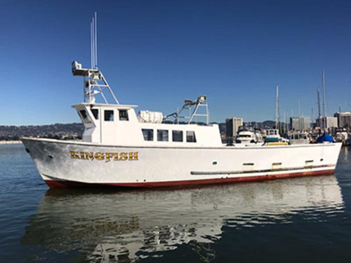 KingFish AM Live Bait Halibut/Striped Bass
