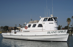 Island Spirit - Open Party 1/2 Day