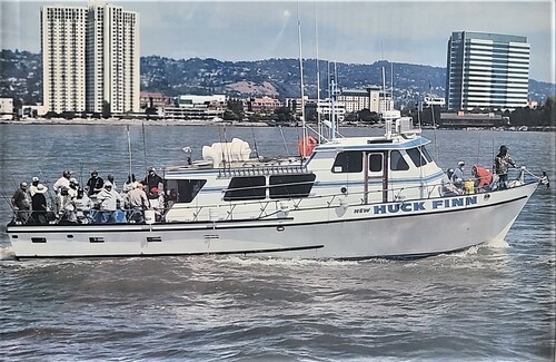 New Huck Finn Live Bait Halibut/Striped Bass