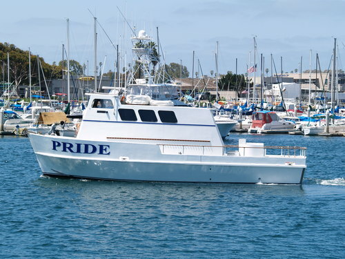 Pride 1.5 Day