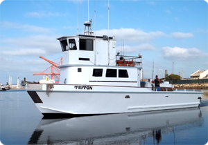 Triton Full Day